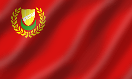 Flag Icon